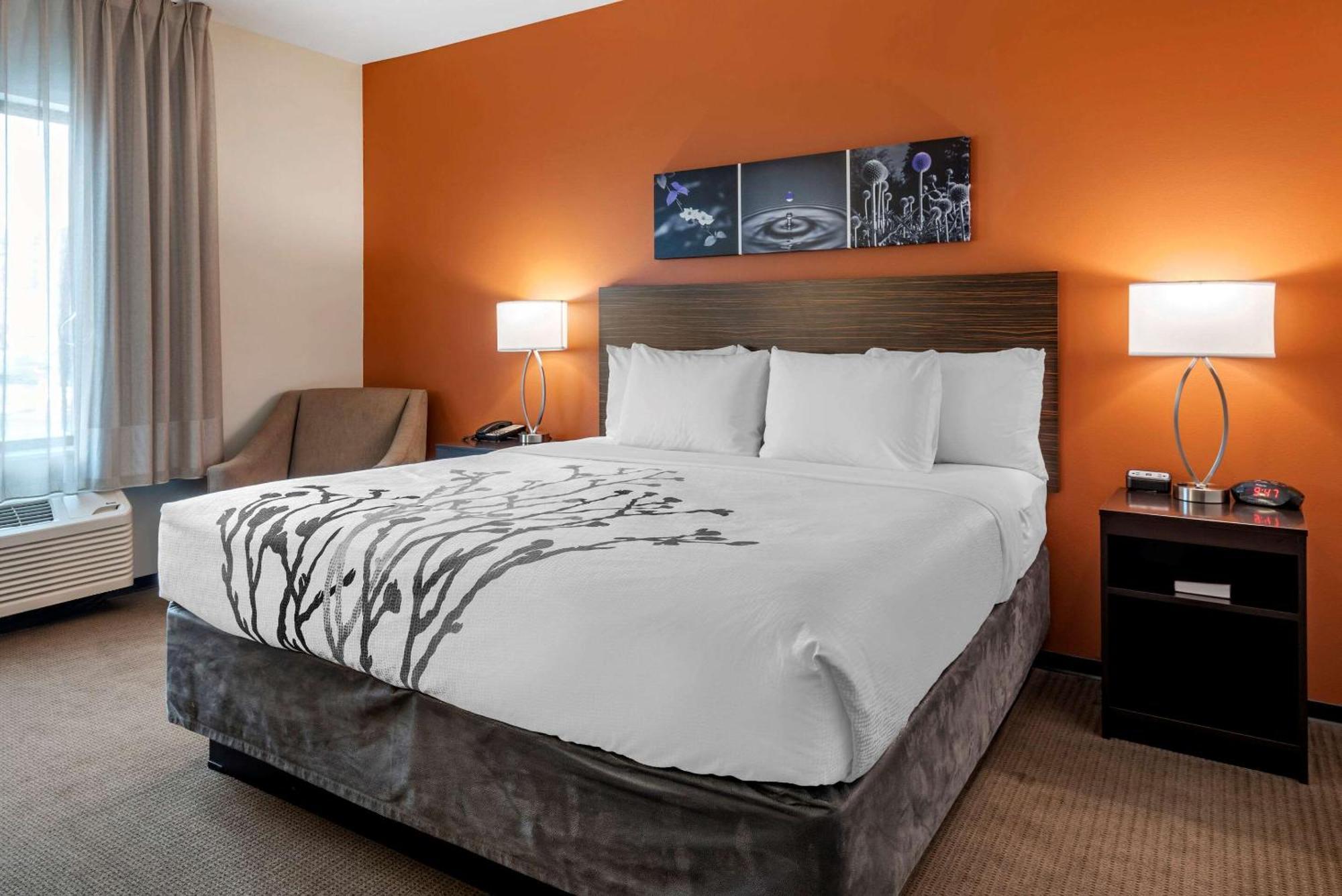 Suite with One King Bed and Two Queen Beds - Accessible/Non-Smoking,1284581611:JPEG