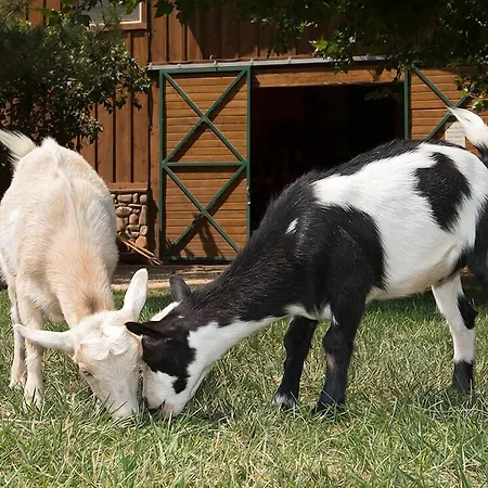 Sorrel River Ranch Resort & Spa-3